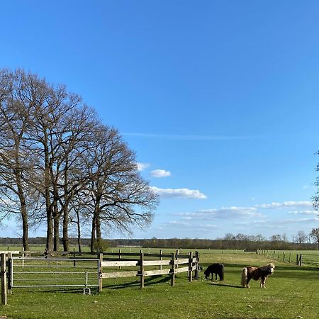 Ferienhof Westermann Waldblick Lähden Dış mekan fotoğraf