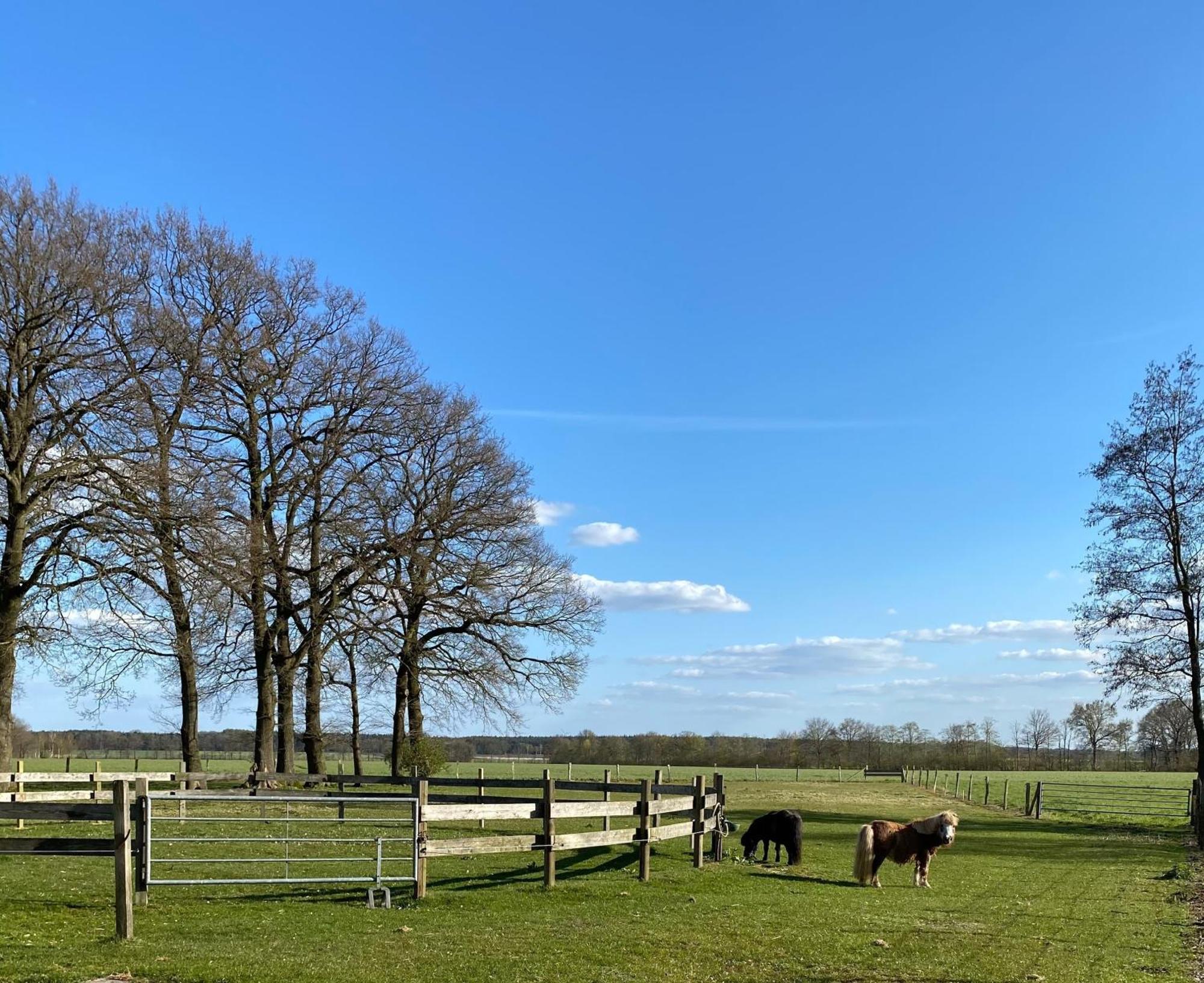 Ferienhof Westermann Waldblick Lähden Dış mekan fotoğraf